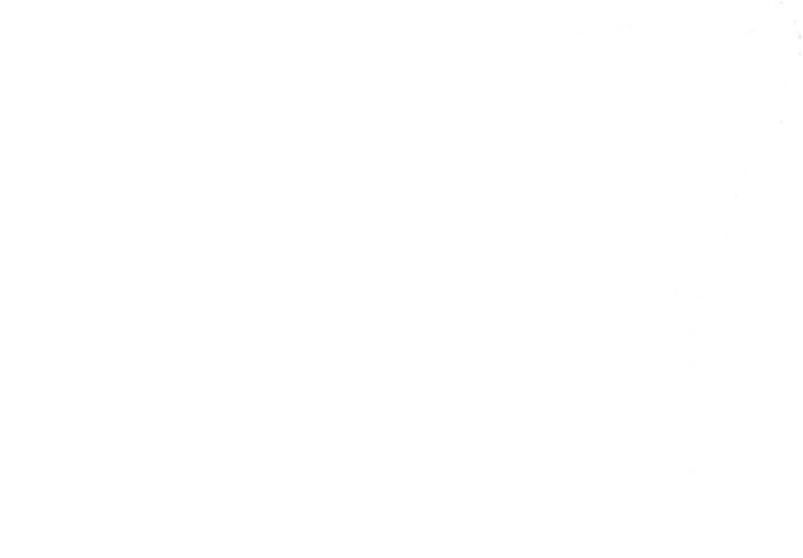 PUH Piotr Jackowski